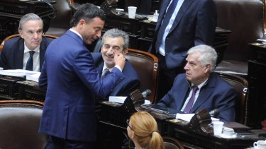Ley Bases y privatizaciones: la oposición aliada define qué hacer con los cambios