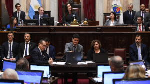 El Senado aprobó en particular la Ley Bases: un voto cambiado, dos ausencias estratégicas y apoyo peronista al RIGI