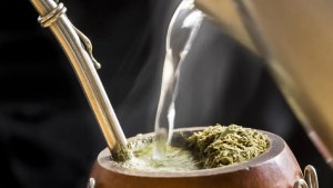 ¿Cómo curar un mate? Tips para cuándo es de madera o de calabaza: mirá el video