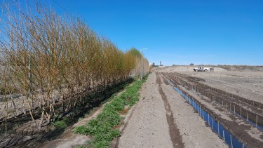 Se abren nuevas posibilidades productivas en diferentes regiones. 