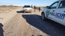 Imagen de Operativos contra el tráfico de animales: decomisaron tres avestruces y un jabalí en Río Negro