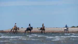Chubut, cabalgar con un baquiano por la costa del mar patagónico: una experiencia extraordinaria