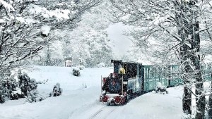 Los maravillosos trenes turísticos de Argentina,  entre la nieve o las nubes: cuánto salen los pasajes