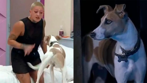 Qué dijo Gran Hermano del perro Arturo y las denuncias de maltrato contra Furia