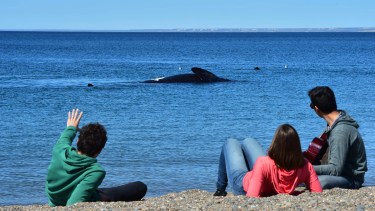 Puerto Madryn.-