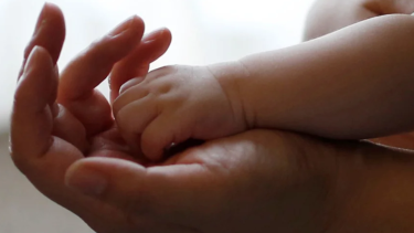 La justicia falló a favor de una trabajadora despedida durante su licencia por maternidad en Cipolletti.