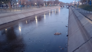 Este martes el canal grande amaneció con una capa de hielo más fina que el lunes. Foto: Juan Thomes