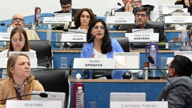 Ayelén Spósito fijó la postura del bloque Vamos con Todos y dijo que seguirán atentos a la gestión. Foto: Archivo/ Marcelo Ochoa