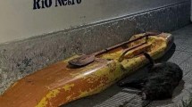 Imagen de Un hombre llevaba un jabalí en una canoa en una isla de Guardia Mitre y fue detenido por ingresar a cazar sin permiso