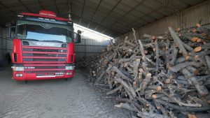 Así agradeció Santa Cruz el envío de leña de Neuquén, en plena ola de frío: «Pueblos hermanos»