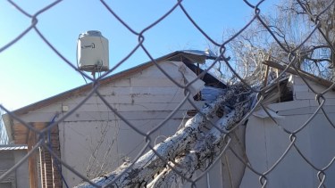 Alerta en Neuquén por fuertes vientos: un árbol terminó adentro de una casa 