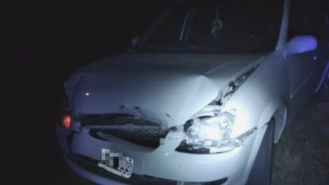 Chocó contra un jabalí sobre la Ruta 251, cerca de Río Colorado: una pareja salió ilesa