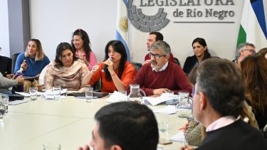 Andrea Confini, secretaria de Energía de la provincia, participa en el plenario de comisiones legislativas. Foto: Marcelo Ochoa.