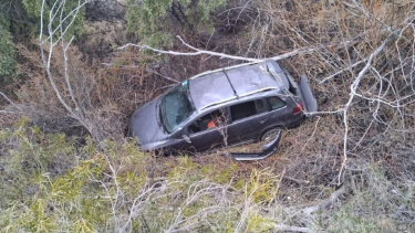 Impactante vuelco de dirigentes gastronómicos de Bariloche. Foto: gentileza