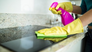 Las empleadas domésticas pueden tomar vacaciones de invierno.-