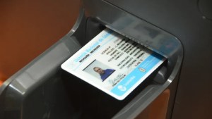Licencia de conducir: qué se puede hacer con tus datos personales