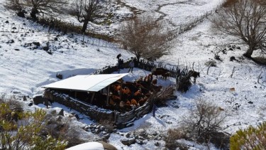 Ola polar en la Patagonia. 