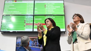 Roxana Fernández siguió con atención el tratamiento de adhesión al RIGI en la Legislatura provincial. Foto: Marcelo Ochoa.