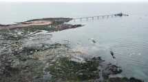 Imagen de Puerto petrolero en Sierra Grande: desembarcan las empresas para iniciar la construcción