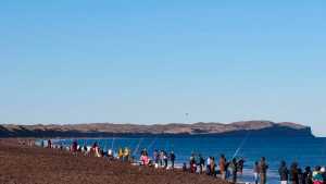 ¡Atención pescadores! Los mejores &#8216;piques&#8217; están en las playas de Viedma, prepará la caña que te contamos dónde&#8230;