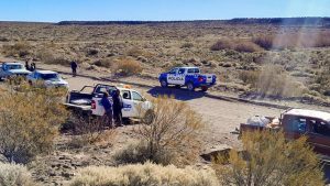 Cazadores furtivos en Neuquén: secuestraron choiques y más de 80 truchas
