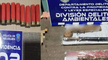 Mató a un perro de un disparo en Neuquén: quedó filmado y fue demorado