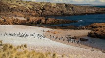 Imagen de Cómo llegar a Cabo Dos Bahías y Camarones,  dos joyas de la Patagonia en la costa de Chubut