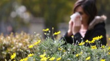 Imagen de Alergias de agosto: cuáles son los síntomas y las medidas recomendadas para evitarlas