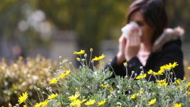 Muchas alergias florecen junto con la primavera. Foto: archivo