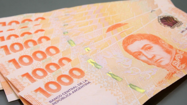 El monto que cobrarán las Becas Progresar de Anses en agosto 2024. 