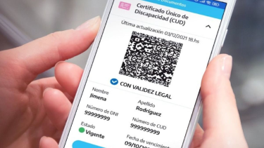 Los criterios para acceder al Certificado Único de Discapacidad (CUD) sin vencimiento.