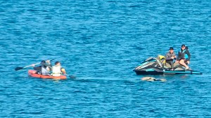 Iba en kayak en Las Grutas, se acercó a una ballena, la acarició y el video abrió el debate