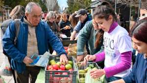 Frutas a 1.000 pesos el kilo: «frutazo» en Neuquén este viernes