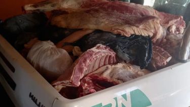 Decomisaron más de dos mil kilos de carne. Foto: gentileza.