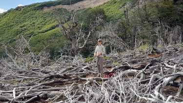 Esencial. El bosque resulta crucial para las comunidades que conviven en la ladera de la montaña.  