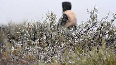 Alerta por nieve en Neuquén. Foto: Archivo Andrés Maripe. 
