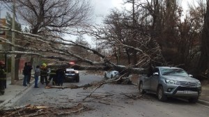Cómo sigue la alerta por viento en Neuquén: ruta cortada, clases suspendidas y una camioneta aplastada