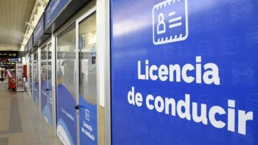 Las licencias de conducir se podrán renovar de forma virtual en Neuquén. (Florencia Salto).