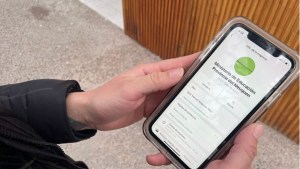 Lanzan un WhatsApp para avisar cuando una escuela no tenga clases en Neuquén: así funciona
