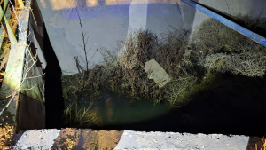 Un motociclista herido tras caer a un canal, en Centenario: fue por la mala maniobra de un auto