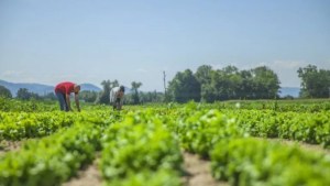 Potenciar la innovación productiva e industrial de Roca, un desafío que redobla su marcha