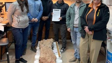 El trabajo de preservación fue articulado entre la dirección de Patrimonio de la provincia y la UNCo. (FOTOS: Gentileza)