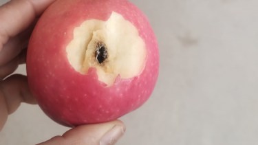 Los casos se denunciaron públicamente en el oeste neuquino. Foto gentileza