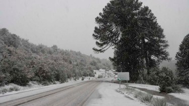 Nieve en Neuquén. Foto Archivo.