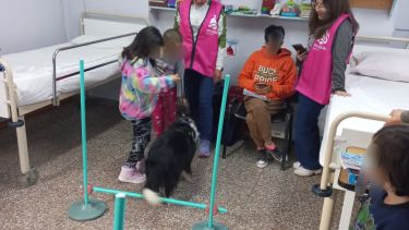 Se organizan postas de juegos, donde los animales interactúan con los niños y niñas. (FOTOS: Gentileza)