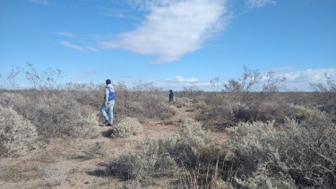 Búsqueda de Luciana en Neuquén: los esfuerzos siguen enfocados en la meseta 