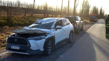 Una camioneta fue aplastada por un árbol en Ruta 7: dos mujeres heridas (Foto: gentileza Centenario Digital)