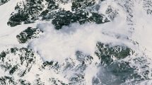 Imagen de Cómo se produce una avalancha y cuál es la tasa de supervivencia