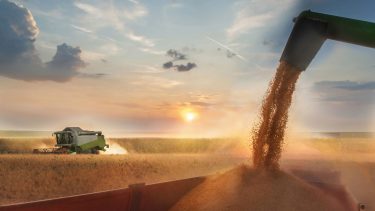 El campo, clave en el Presupuesto 2025.