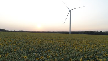 La energía renovable sumó casi 930 MW en nuevos parques, ¿qué se espera para 2025?